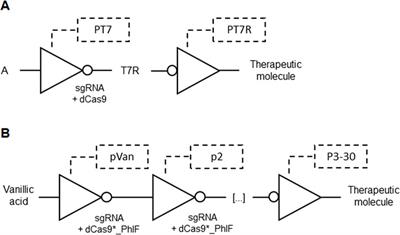 Therapeutic applications of synthetic gene/genetic circuits: a patent review